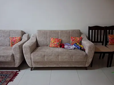 Danube Sofa Cum bed