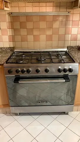 Stainless Steel 5-Burner Gas Range with Oven - Good Working Condition