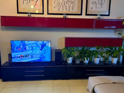 Tv unit