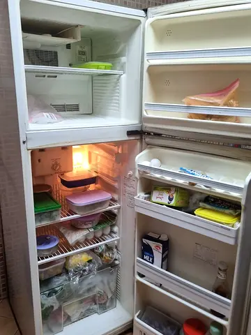 Fridge