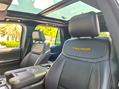 2025 FORD EXPEDITION 照片 9