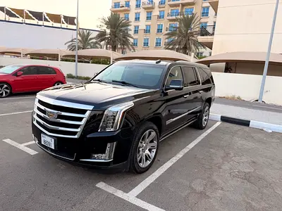 2016 Cadillac ESCALADE 照片 6