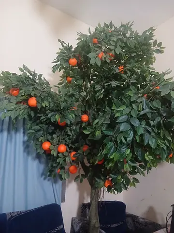 Urgent sale artificial orange tree