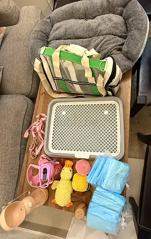 Mixed pet essentials bundle: travel changing pad, wipes, toys and accessories