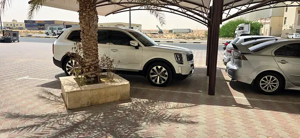 2020 KIA TELLURIDE — фото 7