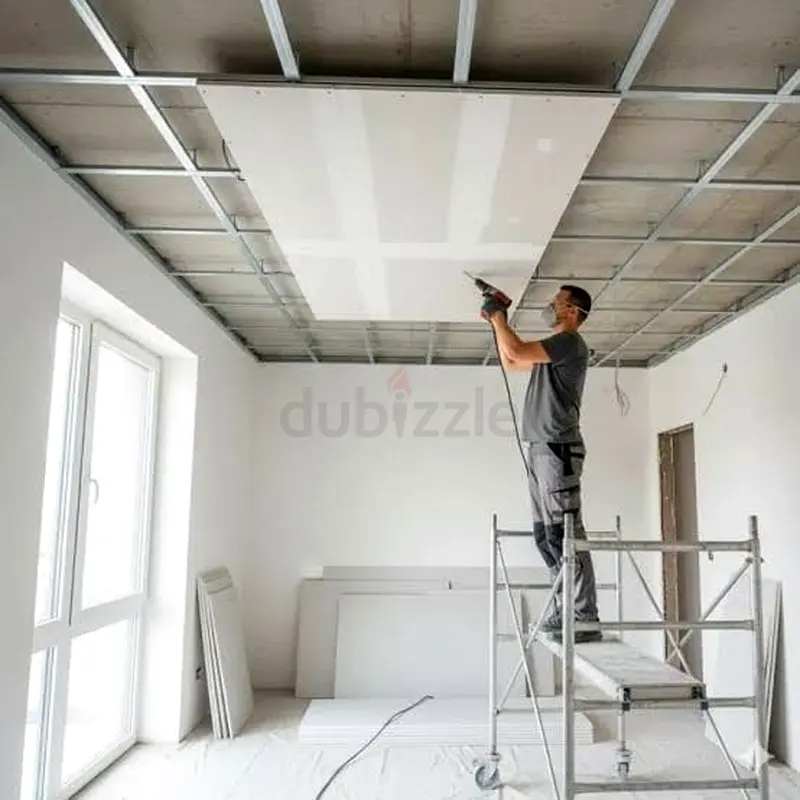 DPV_View_Image_2