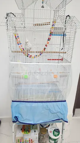 Large bird cage & a cockatiel with its food
