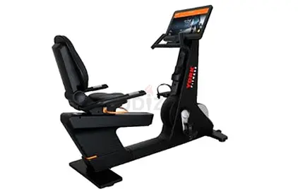 York Recumbent Bike