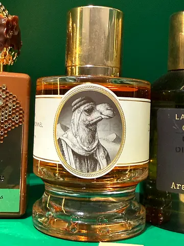 Zoologist Camel