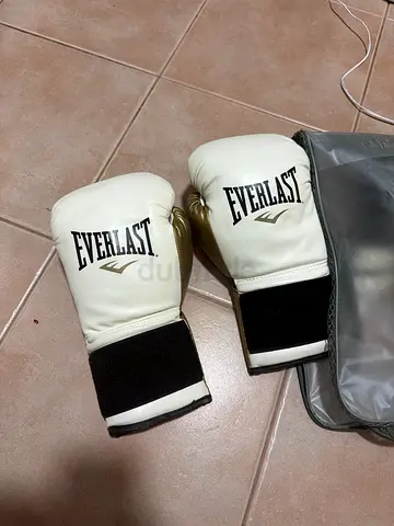 Everlast Boxing Gloves