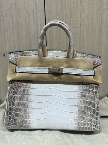 Hermes Brikin Real Crocodile Leather 25cm