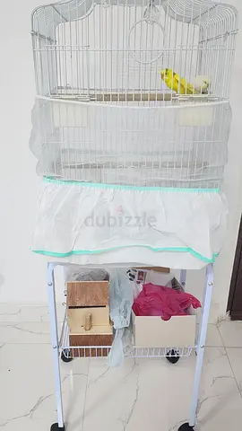 Large bird cage with stand & a pair of budgies