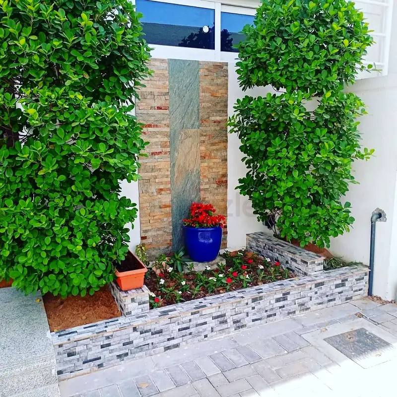DPV_View_Image_5