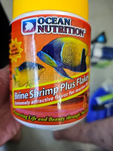 Salt water fish food