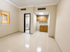 Spacious studio for rent