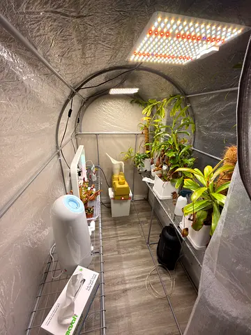 Ikea Greenhouse Asparen