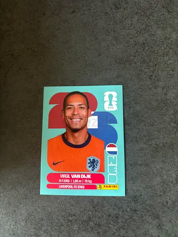 Panini World Cup Sticker - Virgil van Dijk (Netherlands) - Single Card