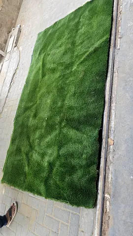 carpet