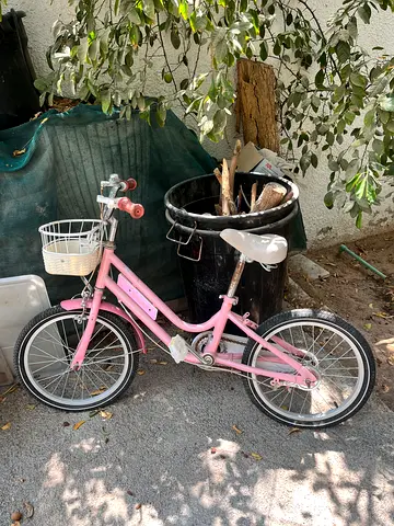 Kid girls cycle