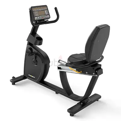 Insight Fitness Commercial Recumbent Bike