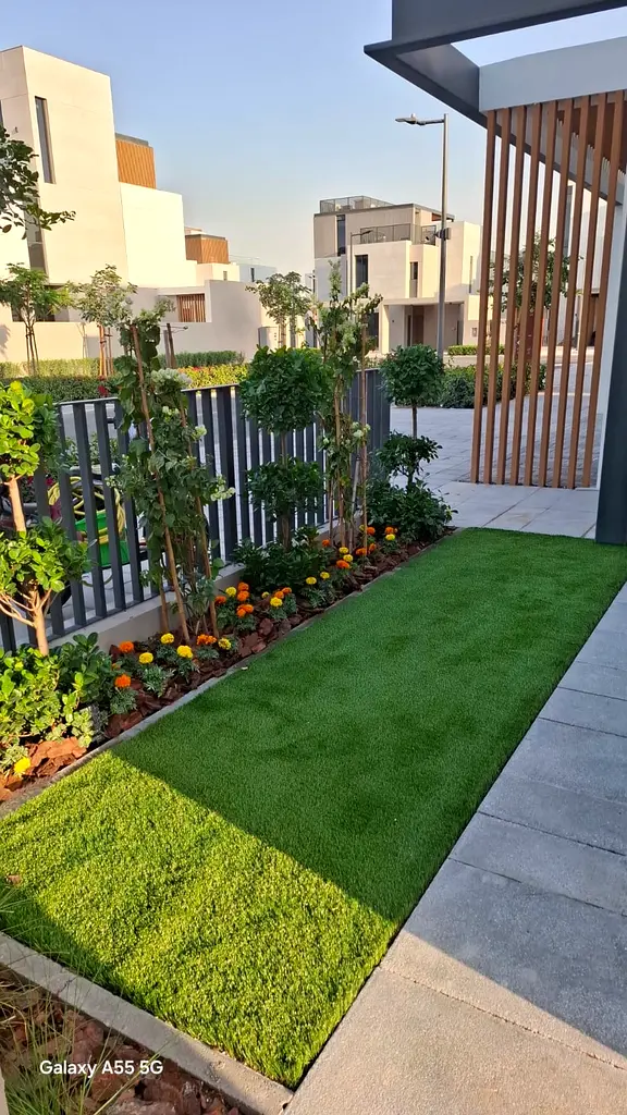 DPV_View_Image_0