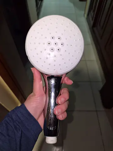 Grohe Tempesta 100 Shower Head