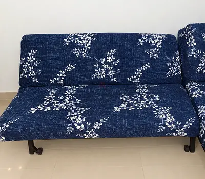 Sofa cum bed. Fold-out sofa bed, compact 2-seater
