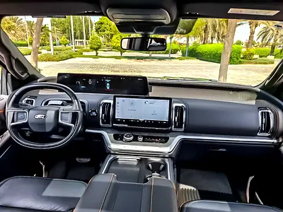 2025 FORD EXPEDITION 缩略图 13