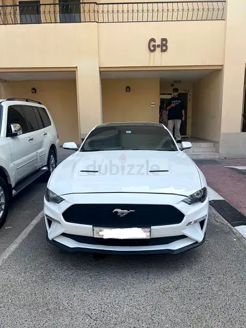 2018 Ford Mustang Ecoboost - Sleek American Specs Performance