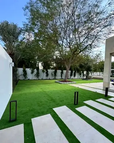 Garden, Grass with Steps and lights