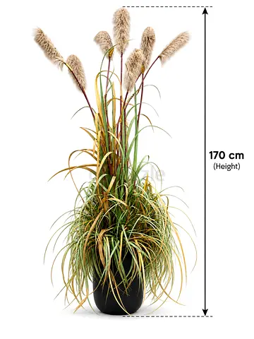 Artificial Pampas Grass Plant in Black Pot - 170 cm