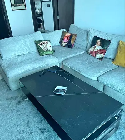Pan home pianca feather 🪶 filled Modular Living room Sofa