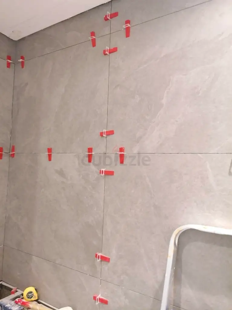 DPV_View_Image_2