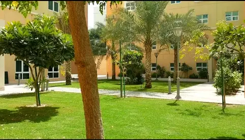Modern Apartment for Rent in DIP 2