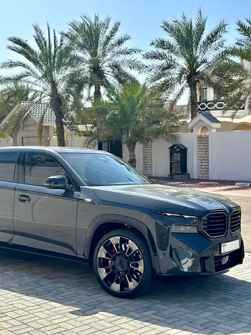 2023 BMW XM 照片 4