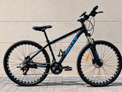 Rally 29" Aluminum Mountain Bike (MTB)