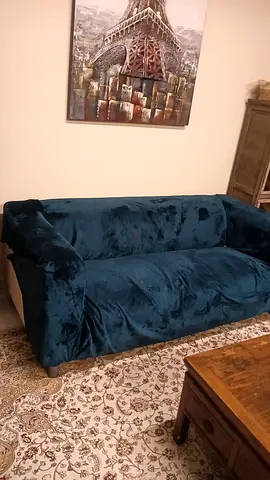 Sofa Free Pickup