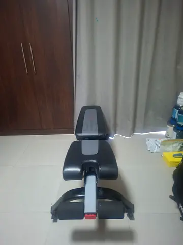 Exercise Bench
