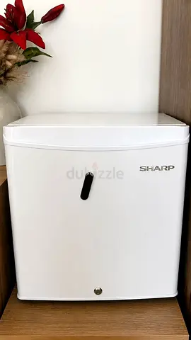 Mini Fridge for sale