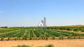 Best price Call now!!! 650k sq ft agricultural land for 25 years long lease in prime location of Al 
