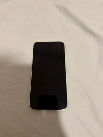 iPhone 13 Pro(with case)  - 256gb, Good Condition