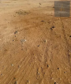 Residential land for sale in Al Zahia, Ajman