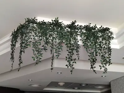 7 plants! pot artificial