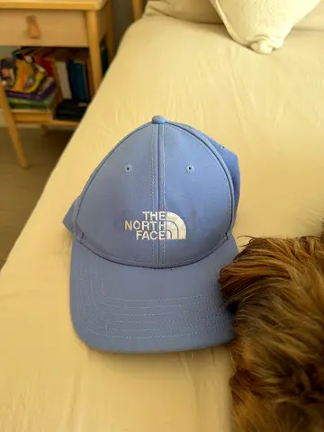 The North Face new hat cap