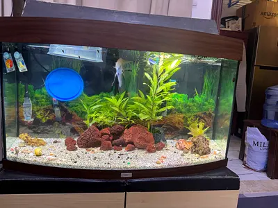 Juwel 180 letters aquarium with canister filter