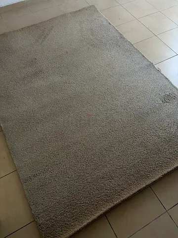 Carpet 170 x 240