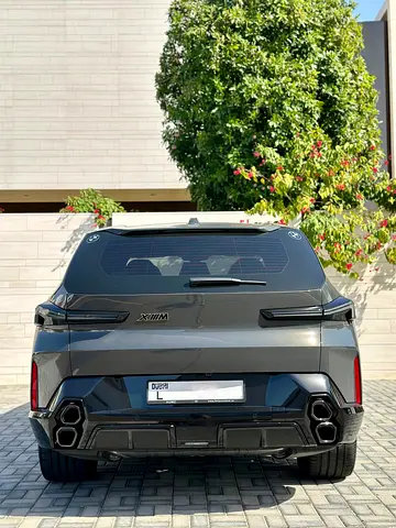 2023 BMW XM 照片 2