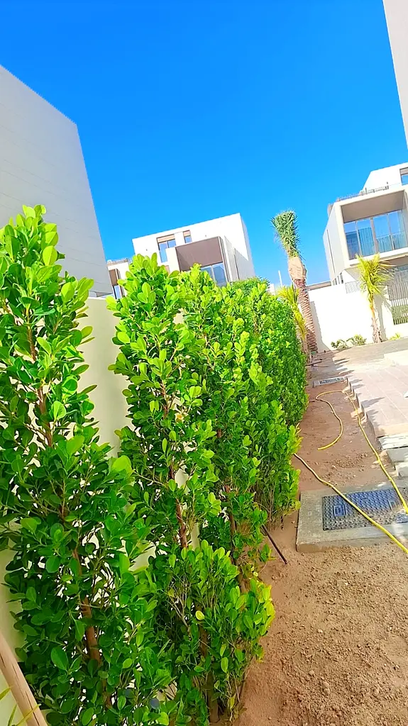 DPV_View_Image_2