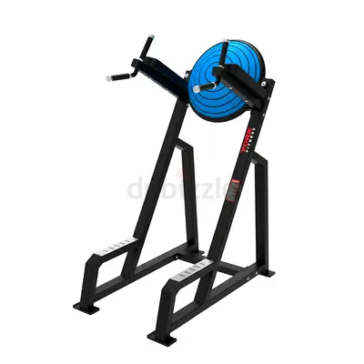 York Commercial Vertical Knee Raise Station