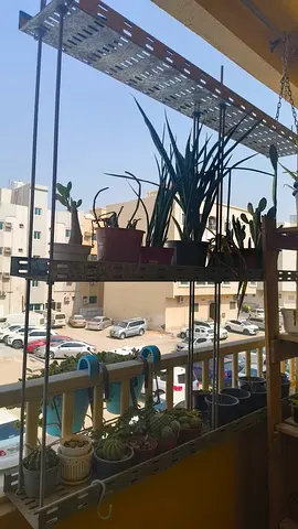 Hanging stand - plants